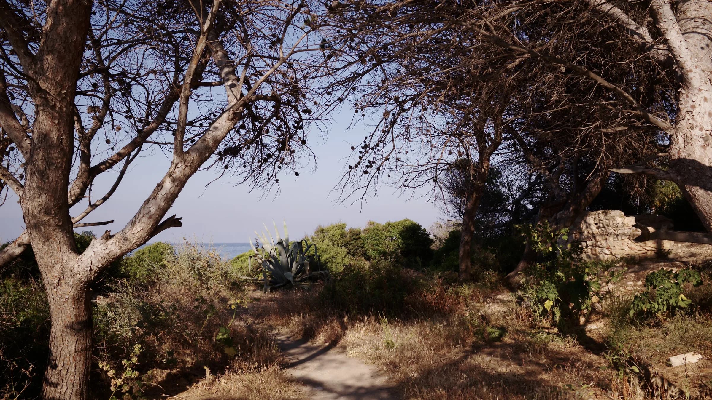 Costa Blanca