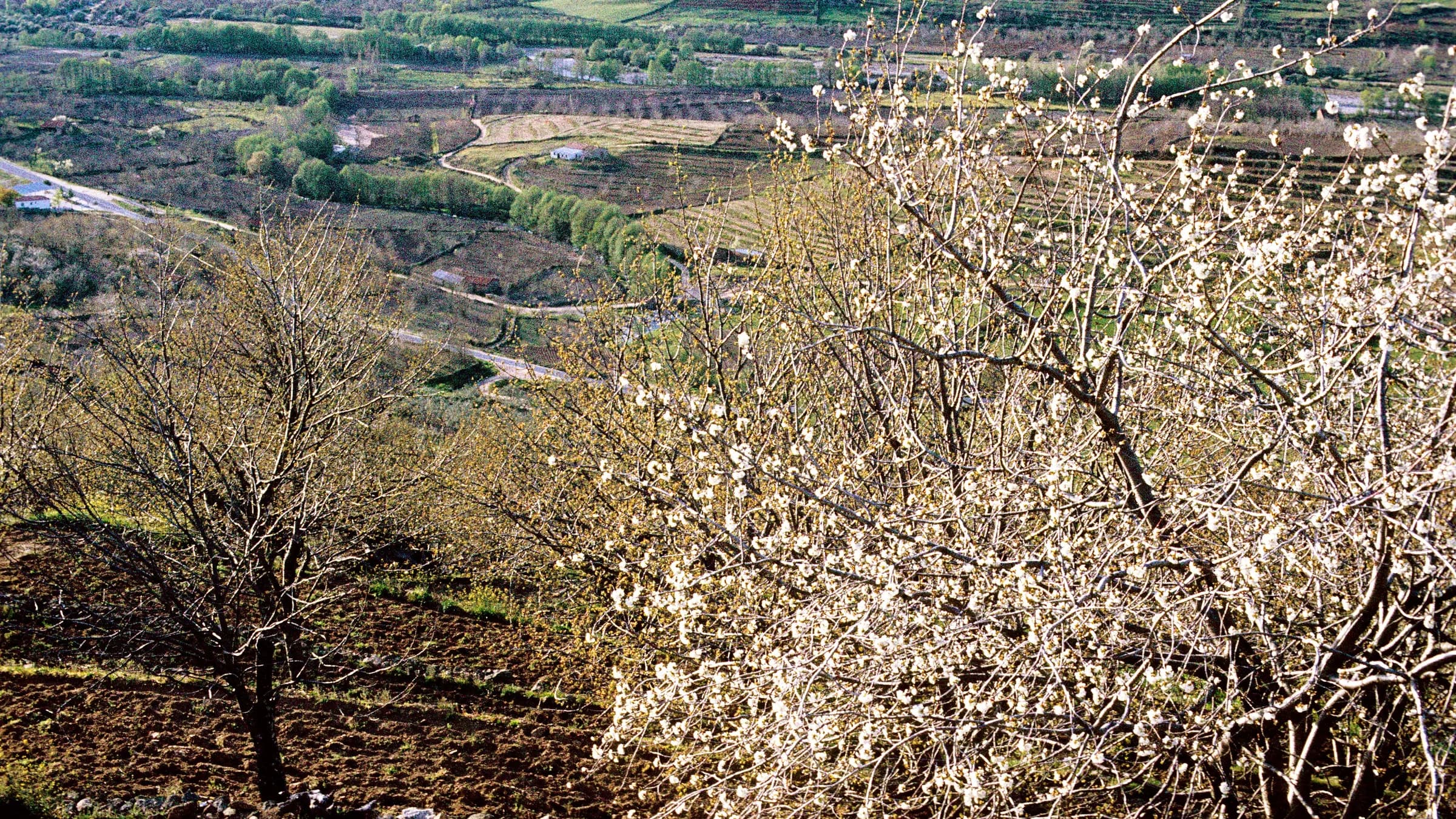 Valle del Jerte y La Vera
