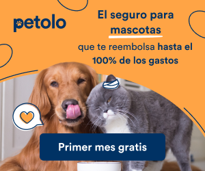 Petolo: seguro para mascotas que reembolsa hasta el 100 % de los gastos